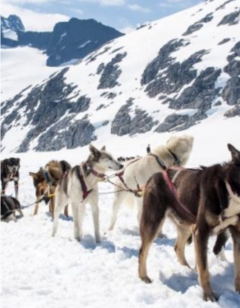 Chamonix-Mont Blanc Trip, January 31, 2019 – February 8, 2020